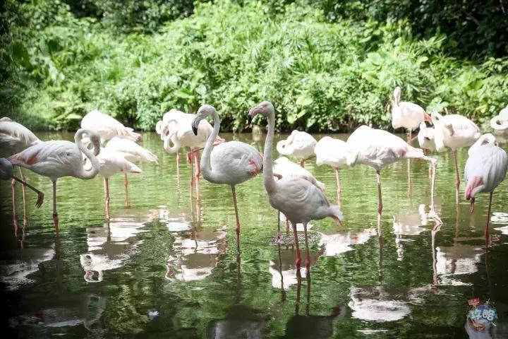 广州动物园的地图,广州动物园下一站去哪里