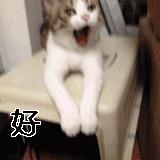 旅游淡季导游有什么感悟 (旅游淡季导游怎么样)