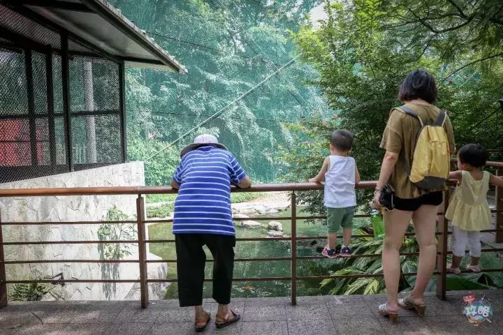 广州动物园的地图,广州动物园下一站去哪里