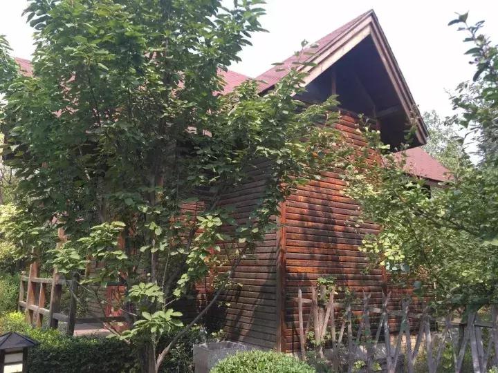 洛龙区银杏帝都温泉地址,洛阳银杏帝都温泉