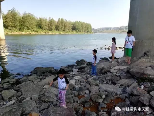 开着房车去遛娃,开着房车带狗狗出去玩