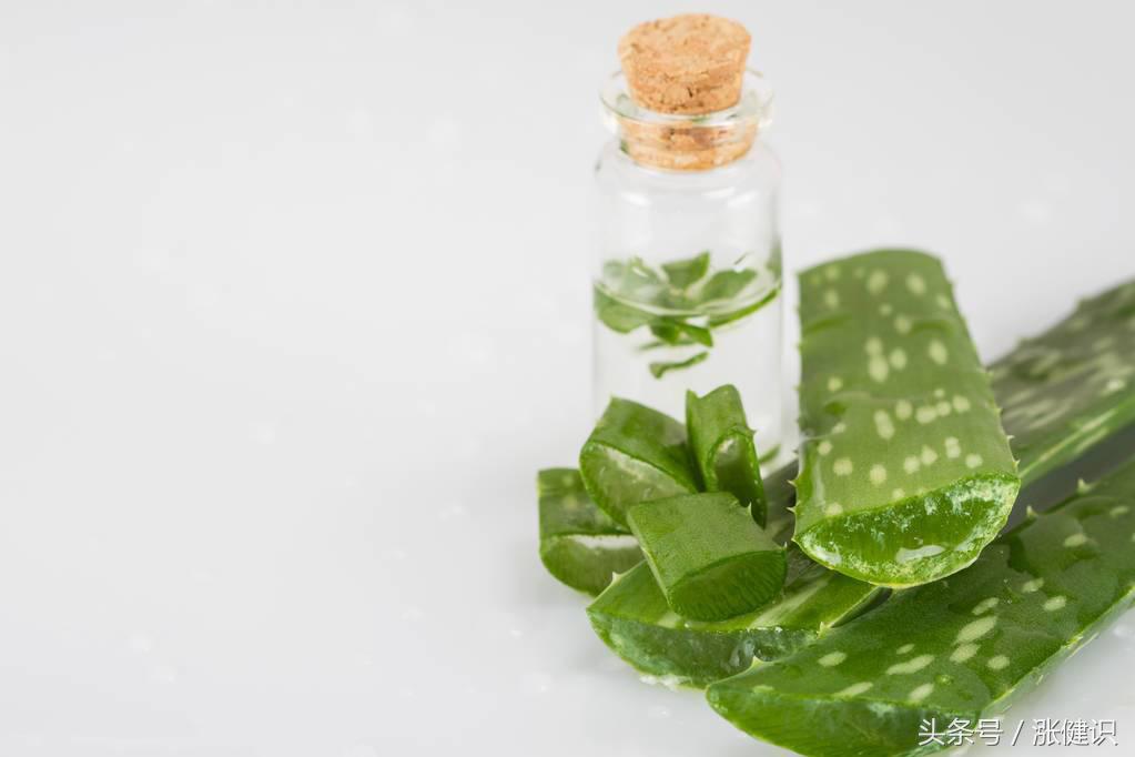 纤伊芦荟排毒养颜,美容养颜圣品芦荟