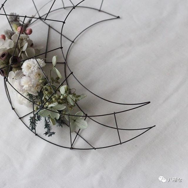 干花的颜色和品种,干花的形态分类