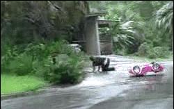 王源青春旅社在哪里,王源录制青春旅社