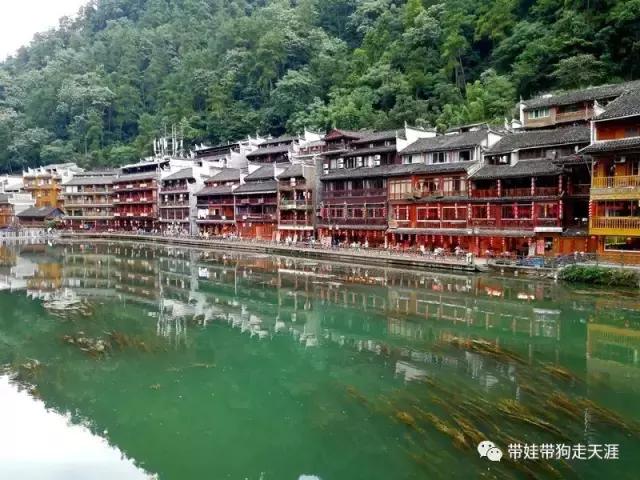 开着房车去遛娃,开着房车带狗狗出去玩