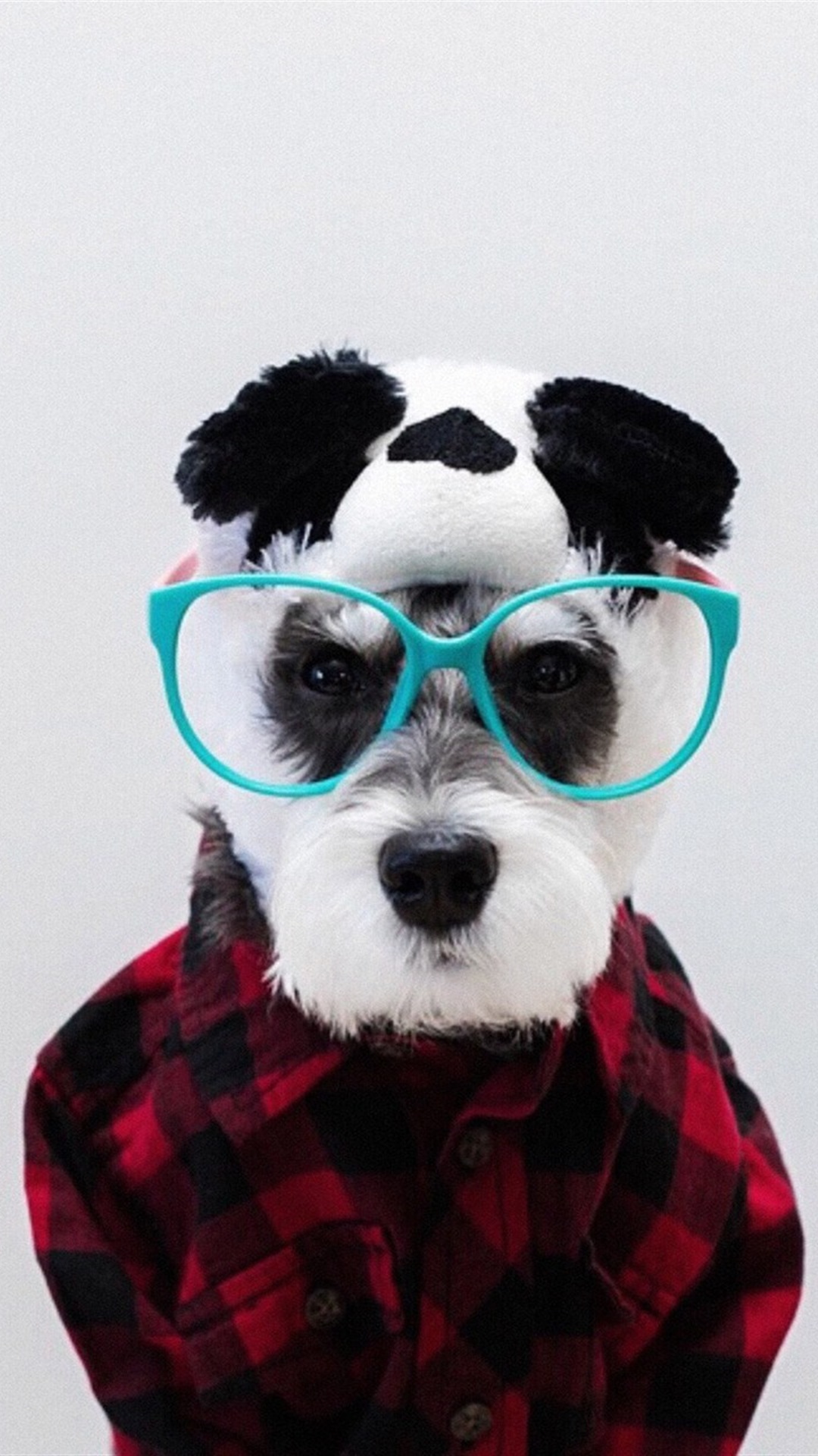 唯美1080×1920P高清壁纸锁屏画面待机背景图！请在wifi环境查看