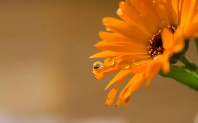 栗子姐每日情感问答,栗子姐每日情感问答全集