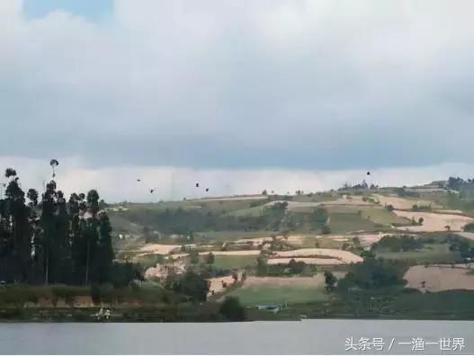 钓鱼人最爱的野钓收获,钓鱼人最喜欢钓啥