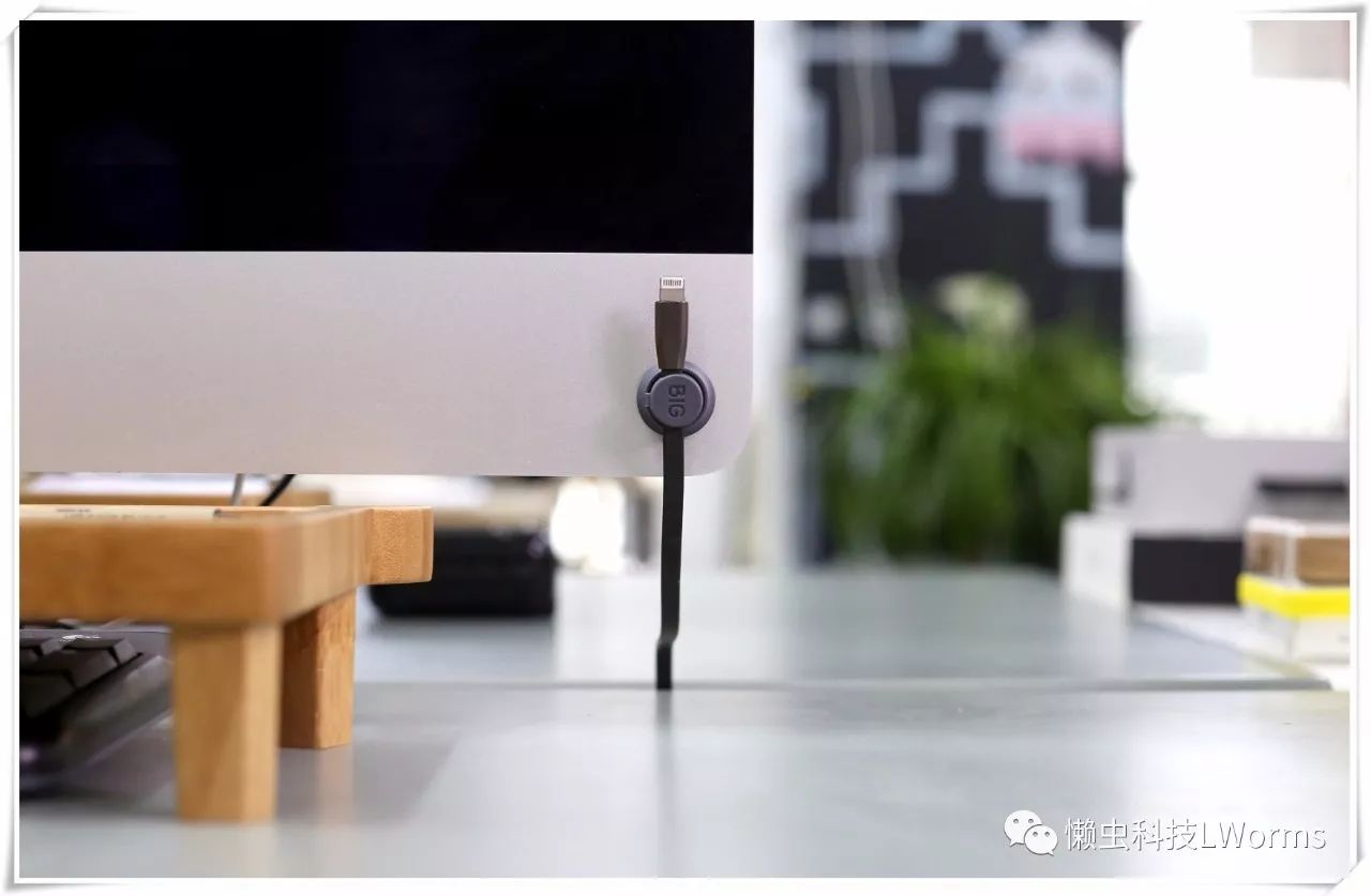 懒虫评测,懒虫测评