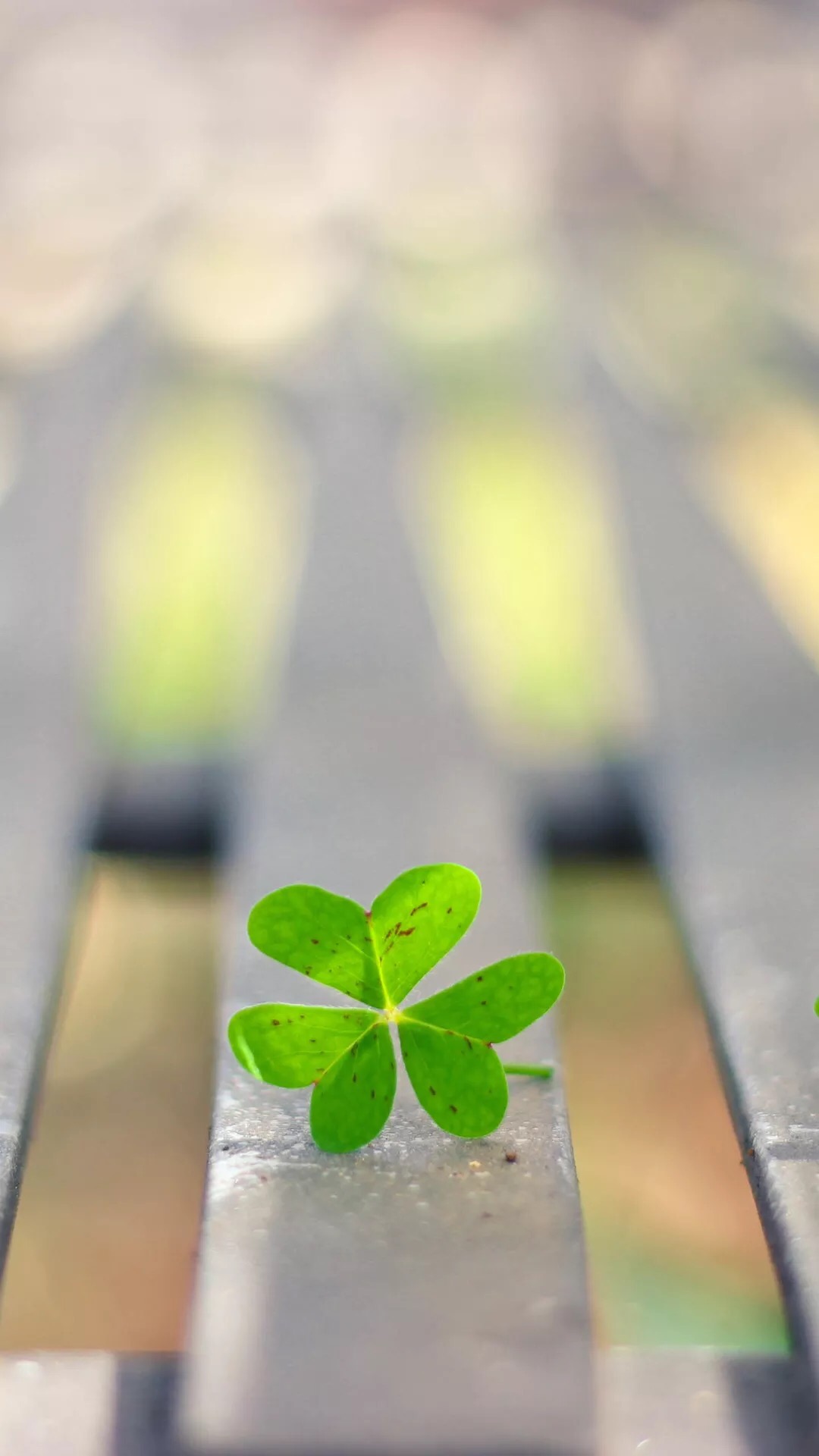 唯美1080×1920P高清壁纸锁屏画面待机背景图！请在wifi环境查看