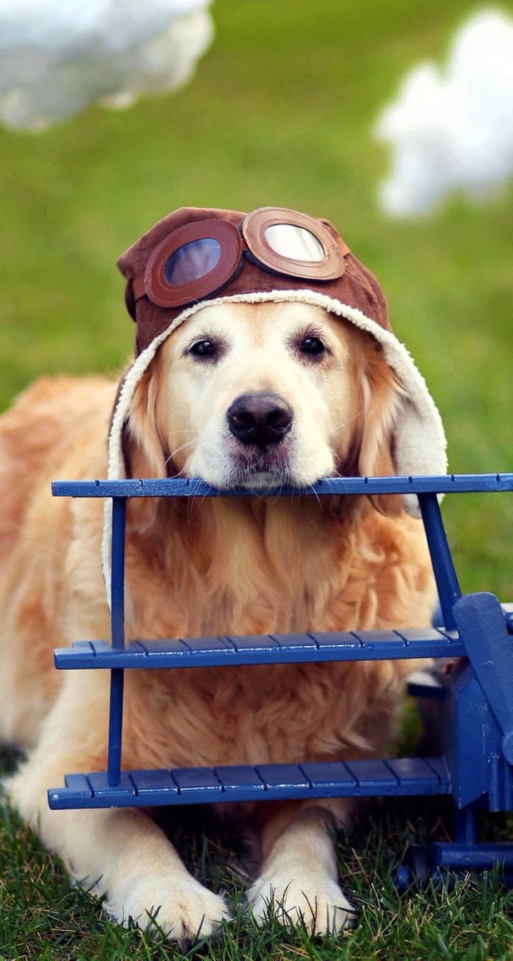 唯美1080×1920P高清壁纸锁屏画面待机背景图！请在wifi环境查看