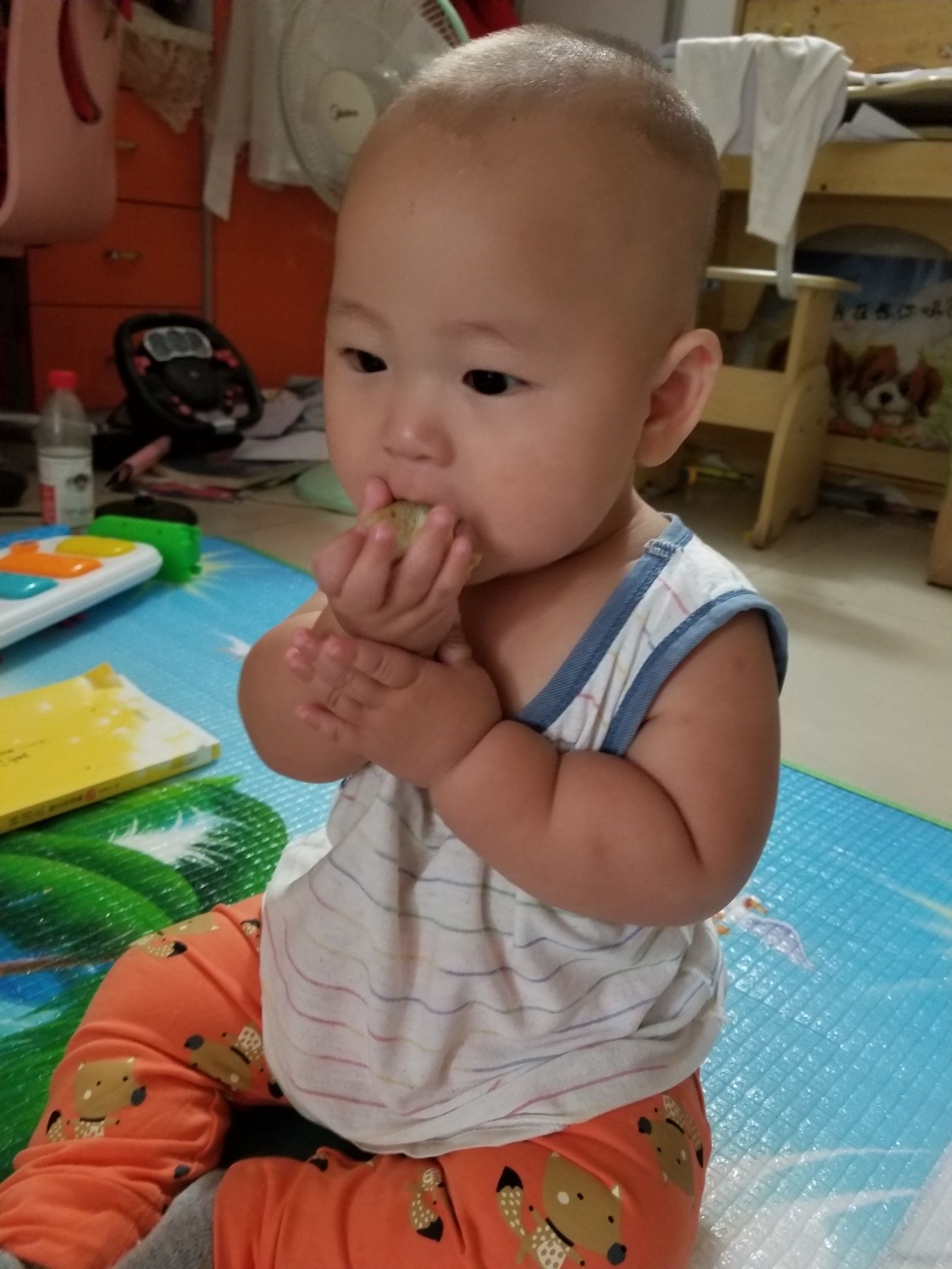 9个月宝宝鸡蛋清过敏喝什么奶粉,蛋清过敏的宝宝辅食