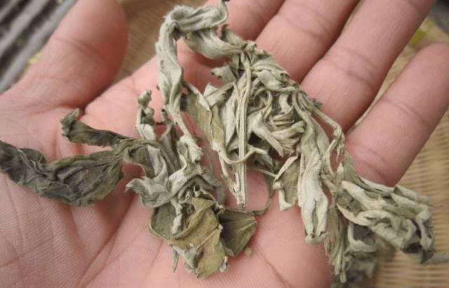 艾草煮水洗头能治银屑病吗,用艾草水洗头后长出头发