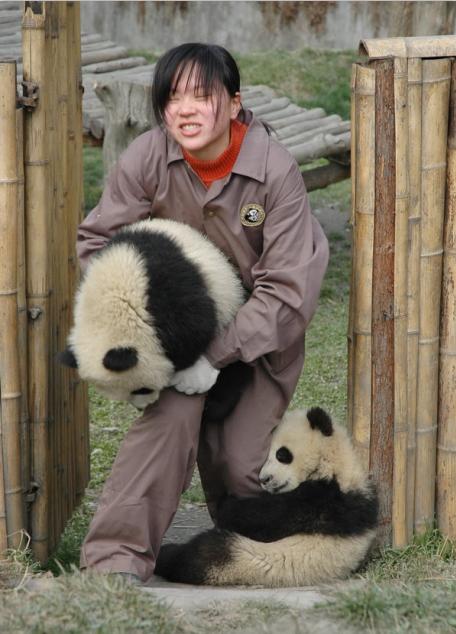 每天被人抱在怀里是什么感觉,每天都在抱大腿日常