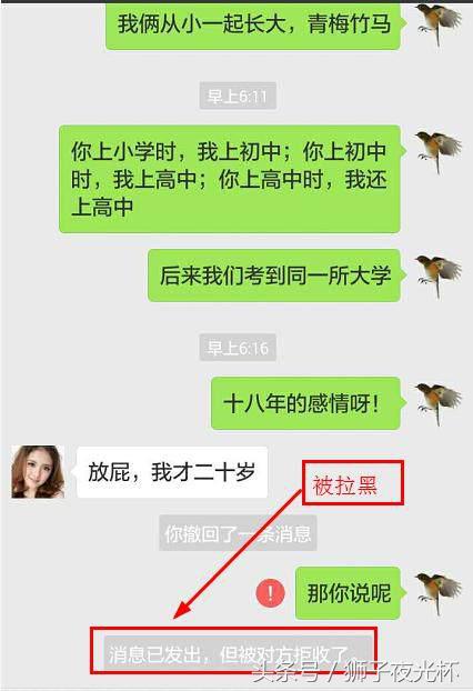 被拉黑后怎么强制聊天,微信拉黑强制聊天软件