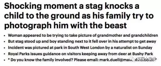 华人伦敦遭鹿攻击酿惨剧，事发地里士满公园警告：务必离鹿50米！