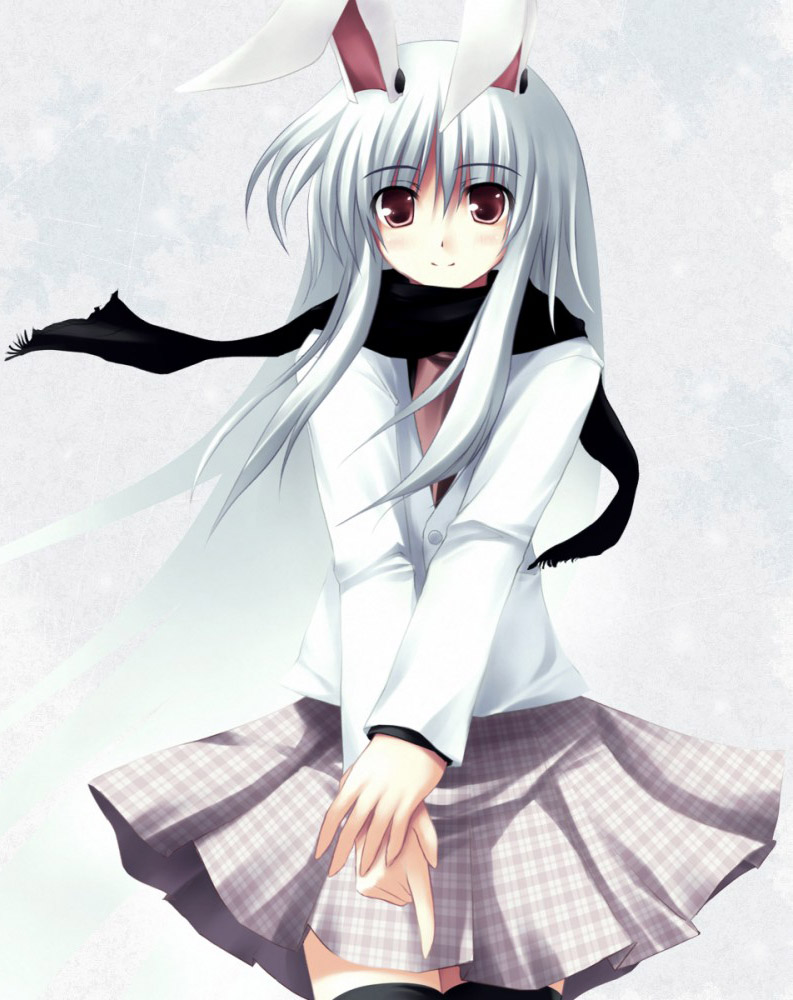 请问今天来点兔子吗,请问要来点兔子吗