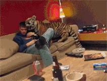 国庆去了趟迪拜，发现有钱人都在喝这个