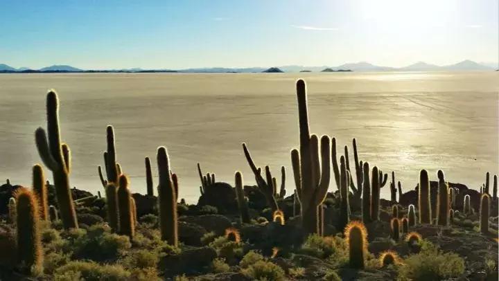 自驾游穿越南美洲,玻利维亚旅行