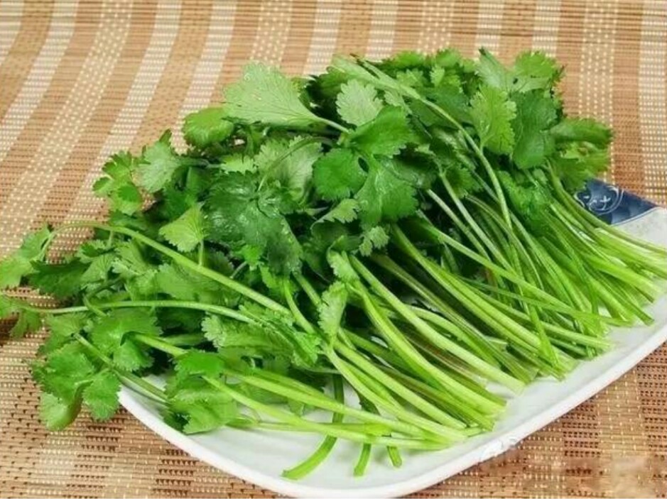 这奇臭无比的东西，竟然是女人的五*法大**宝！