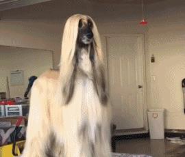 这样标准都找不到女朋友，一定是憋坏了，你看被子下面放的东西