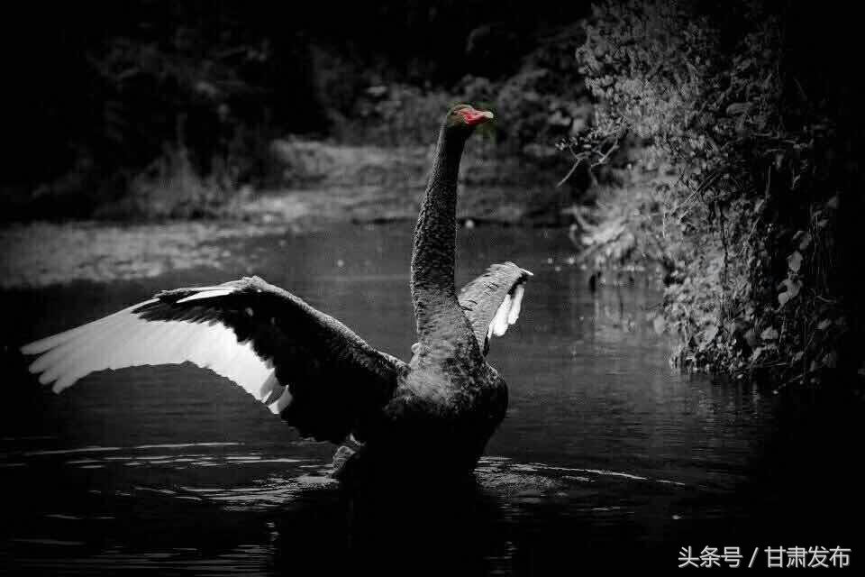 康县成县三日游攻略,陇南康县旅游攻略