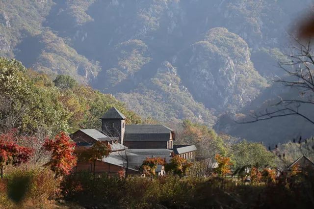 新鲜出炉~赏枫HOT！百名摄影家齐聚庄河天门山