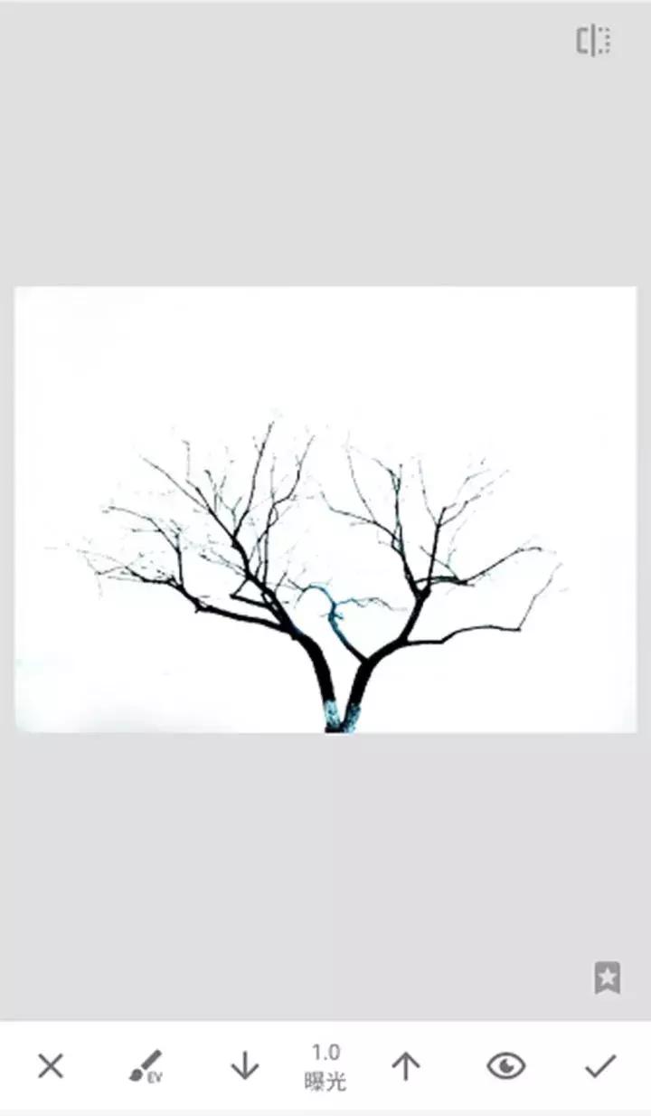 照片如何修出高级感,简约照片如何修