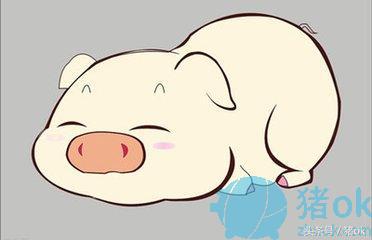 猪呕吐腹泻致死咋防治,猪流行性腹泻的症状及防治措施