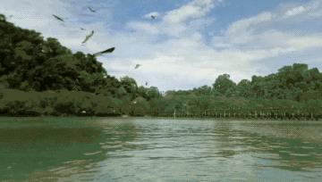 兰卡威海岛旅游六日游,兰卡威海岛之旅