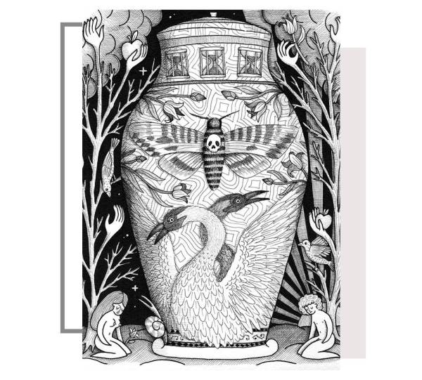 gucci全部插画,gucci法国插画