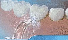 必看双十一剁手指南 (双十一剁手清单推荐)