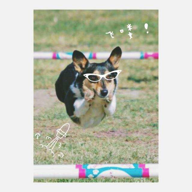 超好用的美颜软件,十大惊艳黑科技app