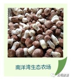 其实三元也不是很好，只有这三大美而已！