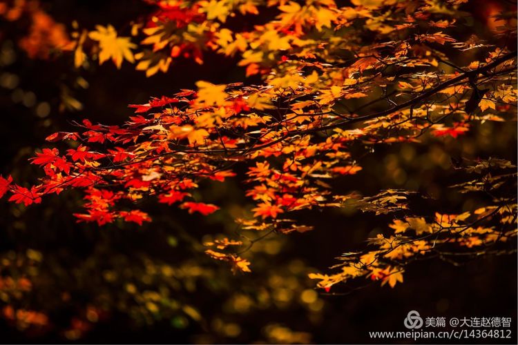 庄河天门山有哪些景观,庄河天门山全景
