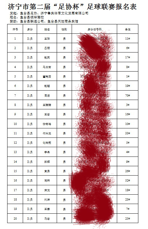 鱼台总决赛,鱼台县足球