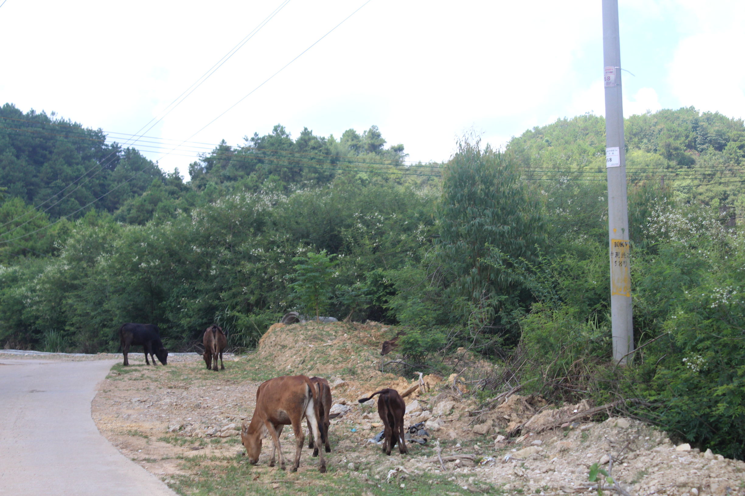 心系河源情归忠信——第二集走进无人区中洞村（下）