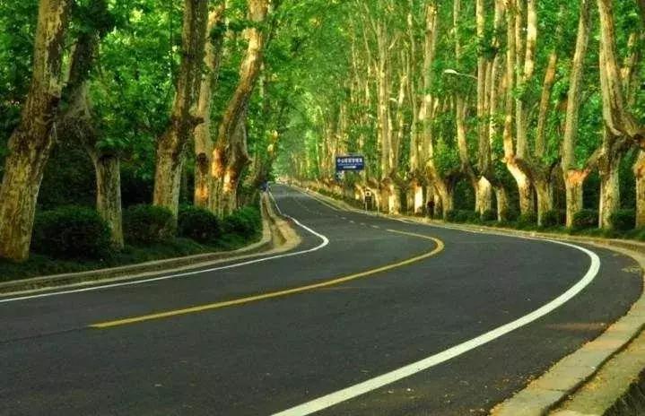 南京骑行最美路线浦口老山,南京十大最美骑行路