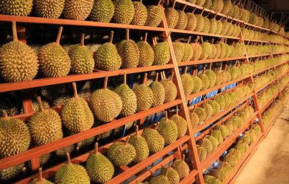 泰国榴莲自助餐58元一个,泰国榴莲自助餐