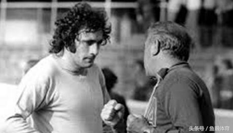 后院起火新闻视频,后院起火系列