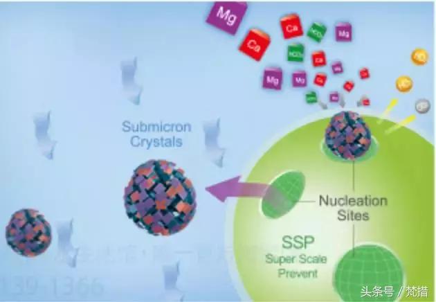 学区房中产阶级,学区房中产真实感受