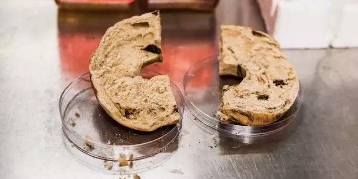 蓝鳍金枪鱼品质鉴别,真假蓝鳍金枪鱼