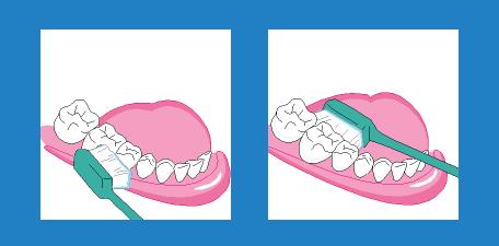 小朋友吃多少牙膏会中毒,小宝宝吞食含氟牙膏