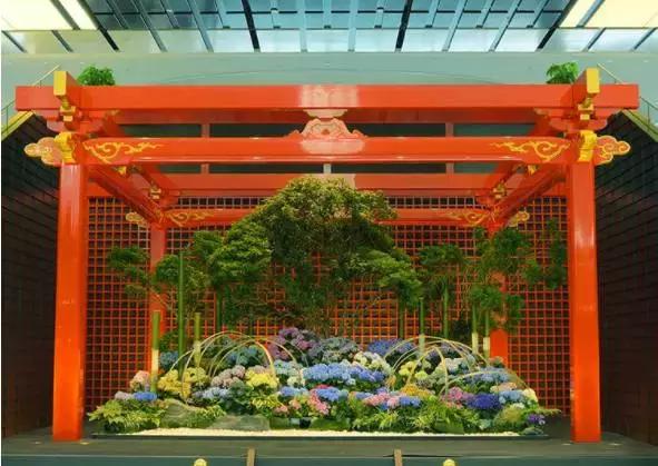 日本地下机场游玩攻略,日本的机场有哪些