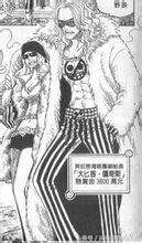 海贼王里一共出现过多少人物(四)(超新星等)