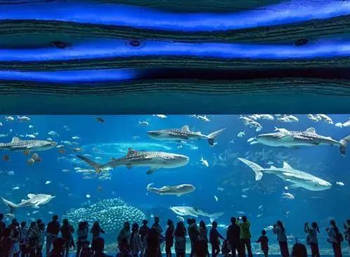 比游乐场的项目还要刺激吧,马戏酒店杂技房和魔术房区别