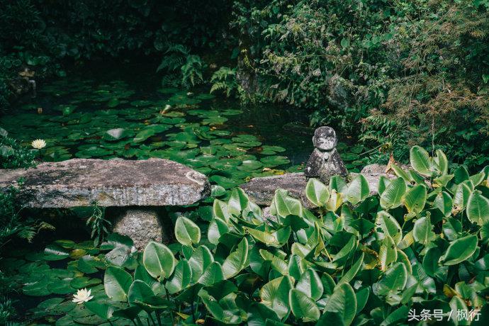 日本枯山水哪里最多,日本十大自然风光