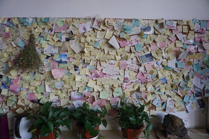 慢旅行自驾游,慢旅行