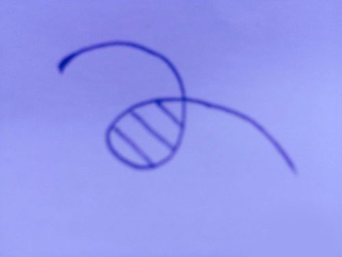 告告告，告你妈妈打广告-重庆人才懂的……顺口溜？