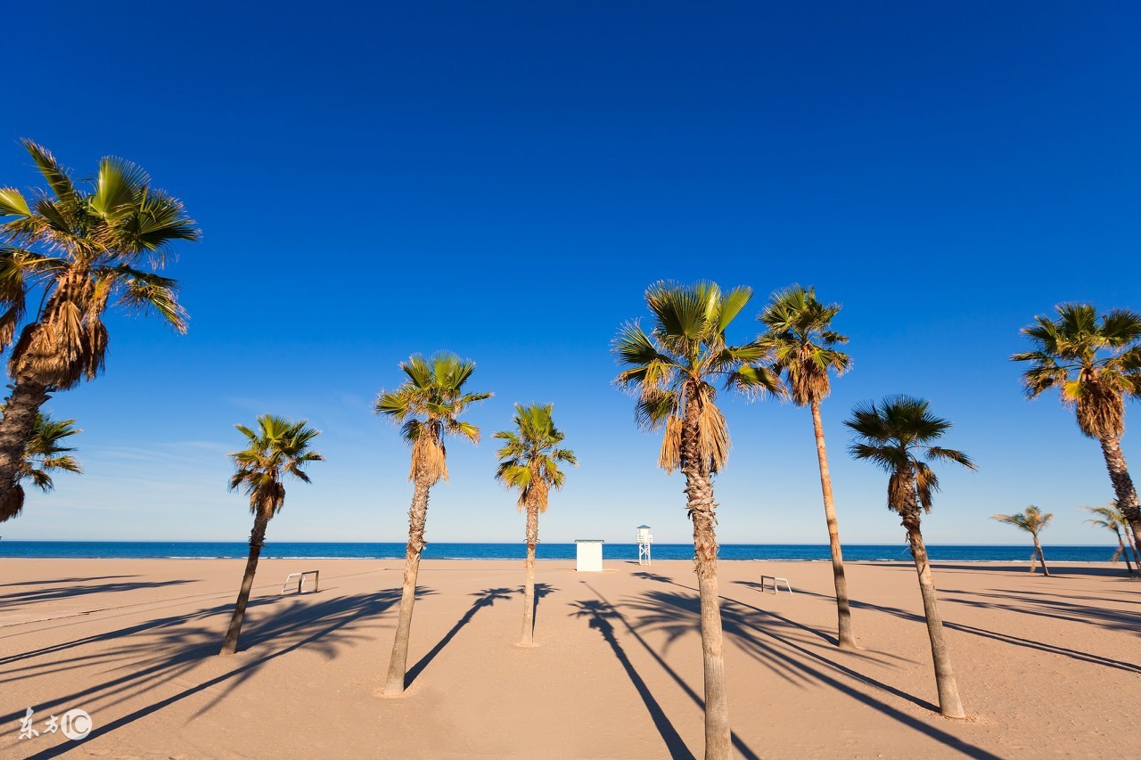 树树树,树树树树